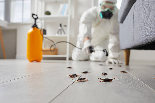 Trusted Rodent Control service in Granite Falls, NC - Nex Pest Control
